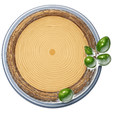 Log